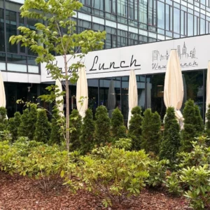 drzewa rosną przed resturacją Wawa lunch, speed dating, szybkie randki, Warszawa, mini randki, tinder, upoluj singla, randki na żywo, jak się przygotować na randkę, o czym rozmawiać na randce, szukanie miłości, obecne randki, randki na czasie, swatka, współczesna swatka ile czasu na randkę, czas na miłość